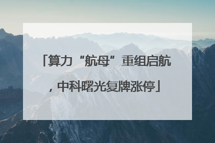 算力“航母”重组启航，中科曙光复牌涨停