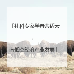 社科专家学者共话云南低空经济产业发展