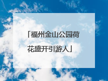 福州金山公园荷花盛开引游人