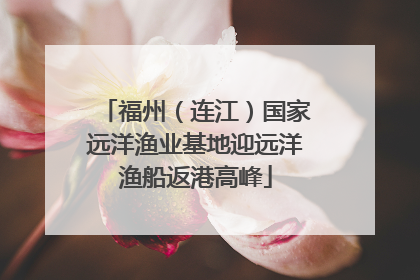 福州（连江）国家远洋渔业基地迎远洋渔船返港高峰