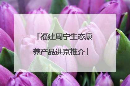 福建周宁生态康养产品进京推介