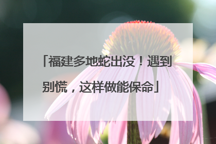 福建多地蛇出没！遇到别慌，这样做能保命