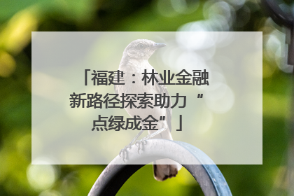 福建：林业金融新路径探索助力“点绿成金”