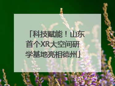 科技赋能！山东首个XR大空间研学基地亮相德州
