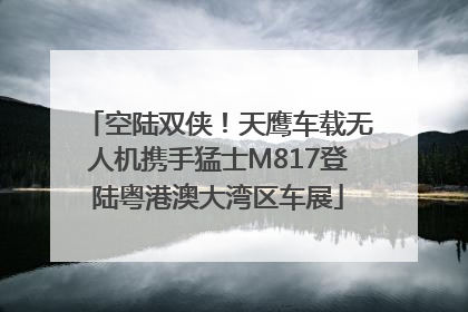 空陆双侠！天鹰车载无人机携手猛士M817登陆粤港澳大湾区车展
