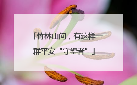 竹林山间，有这样一群平安“守望者”