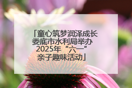 童心筑梦润泽成长 娄底市水利局举办2025年“六一”亲子趣味活动