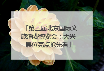 第三届北京国际文旅消费博览会：大兴展位亮点抢先看