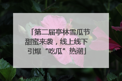 第二届亭林雪瓜节甜蜜来袭，线上线下引爆“吃瓜”热潮