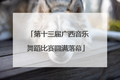 第十三届广西音乐舞蹈比赛圆满落幕