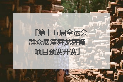 第十五届全运会群众展演舞龙舞狮项目预赛开赛