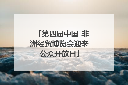 第四届中国-非洲经贸博览会迎来公众开放日