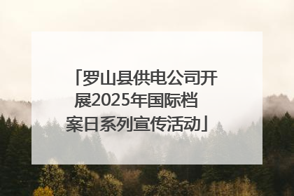 罗山县供电公司开展2025年国际档案日系列宣传活动