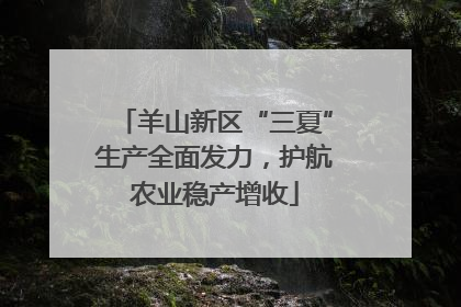 羊山新区“三夏”生产全面发力，护航农业稳产增收