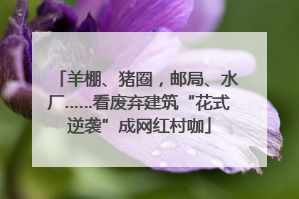 羊棚、猪圈，邮局、水厂……看废弃建筑“花式逆袭”成网红村咖