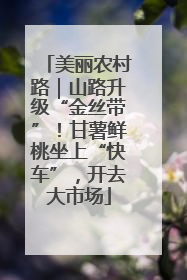 美丽农村路｜山路升级“金丝带”！甘薯鲜桃坐上“快车”，开去大市场
