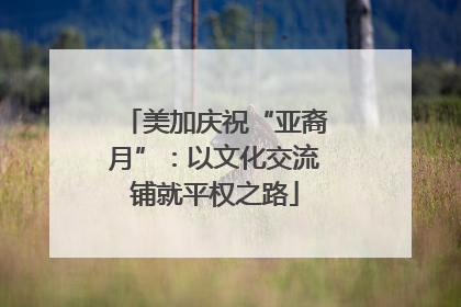 美加庆祝“亚裔月”：以文化交流铺就平权之路
