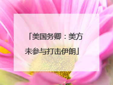 美国务卿：美方未参与打击伊朗