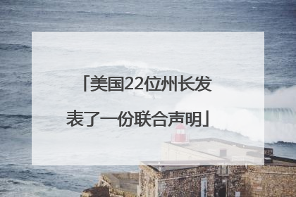 美国22位州长发表了一份联合声明