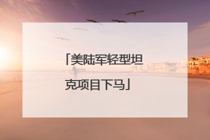 美陆军轻型坦克项目下马