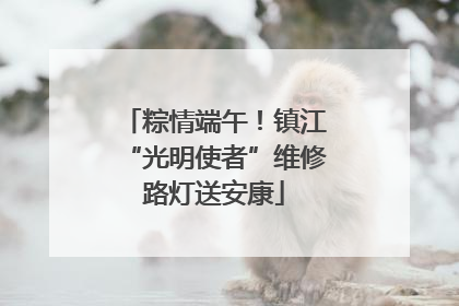 粽情端午！镇江“光明使者”维修路灯送安康