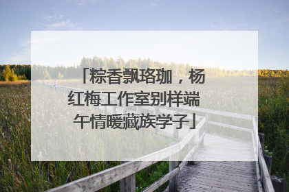 粽香飘珞珈，杨红梅工作室别样端午情暖藏族学子