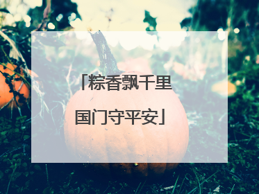粽香飘千里 国门守平安