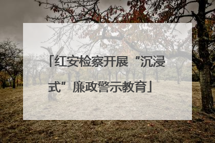 红安检察开展“沉浸式”廉政警示教育