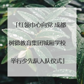 红领巾心向党 成都树德教育集团城厢学校举行少先队入队仪式