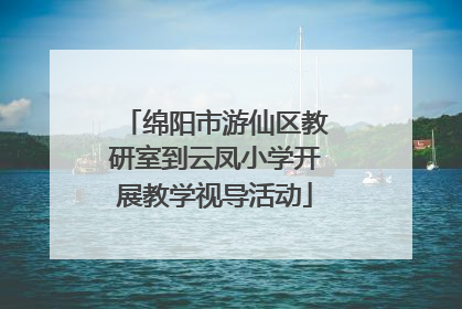 绵阳市游仙区教研室到云凤小学开展教学视导活动