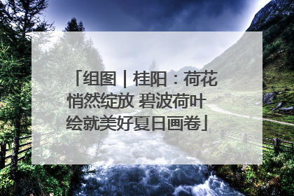 组图｜桂阳：荷花悄然绽放 碧波荷叶绘就美好夏日画卷