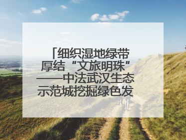 细织湿地绿带 厚结“文旅明珠”——中法武汉生态示范城挖掘绿色发展新动能