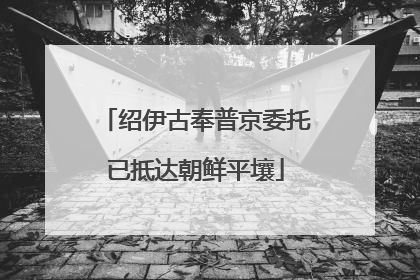 绍伊古奉普京委托已抵达朝鲜平壤
