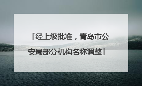 经上级批准，青岛市公安局部分机构名称调整