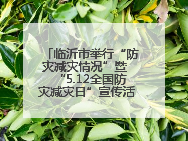 临沂市举行“防灾减灾情况”暨 “5.12全国防灾减灾日”宣传活动新闻发布会