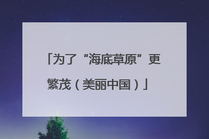 为了“海底草原”更繁茂（美丽中国）