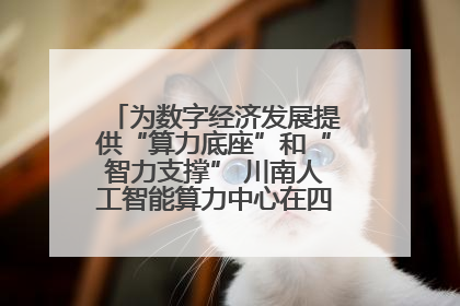 为数字经济发展提供“算力底座”和“智力支撑” 川南人工智能算力中心在四川泸州启动
