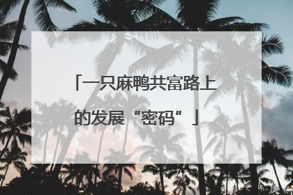 一只麻鸭共富路上的发展“密码”