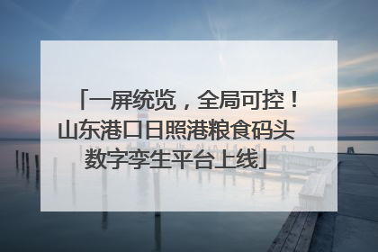 一屏统览，全局可控！山东港口日照港粮食码头数字孪生平台上线