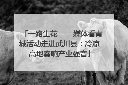 一路生花——媒体看青城活动走进武川县：冷凉高地奏响产业强音