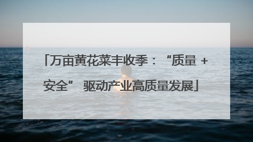 万亩黄花菜丰收季：“质量 + 安全” 驱动产业高质量发展