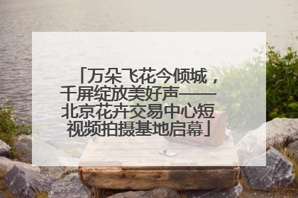 万朵飞花今倾城，千屏绽放美好声——北京花卉交易中心短视频拍摄基地启幕