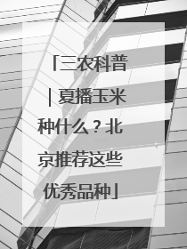 三农科普｜夏播玉米种什么？北京推荐这些优秀品种