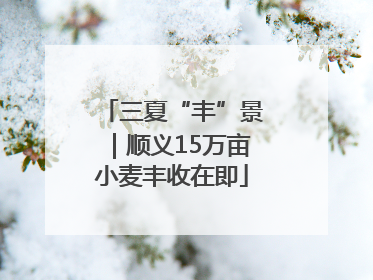 三夏“丰”景｜顺义15万亩小麦丰收在即