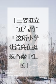 三姿挺立“正气竹”！这所小学让清廉在挺拔脊梁中生长