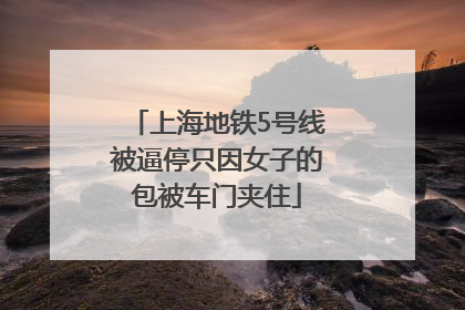 上海地铁5号线被逼停只因女子的包被车门夹住