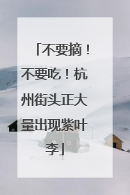 不要摘！不要吃！杭州街头正大量出现紫叶李