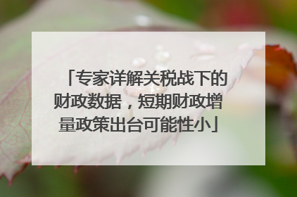 专家详解关税战下的财政数据，短期财政增量政策出台可能性小