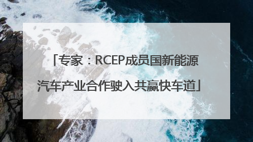 专家：RCEP成员国新能源汽车产业合作驶入共赢快车道