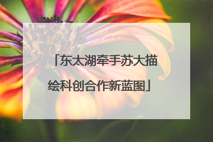 东太湖牵手苏大描绘科创合作新蓝图